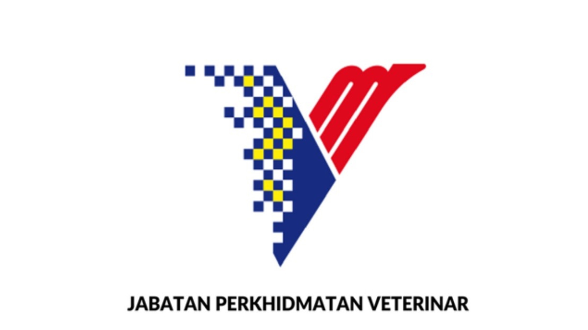 DVS Warns Against Fraudulent Government Orders as Fake Documents Surface