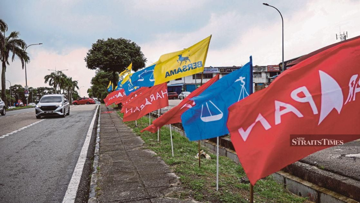 Police investigate 18 cases of alleged election offences in Johor poll campaign