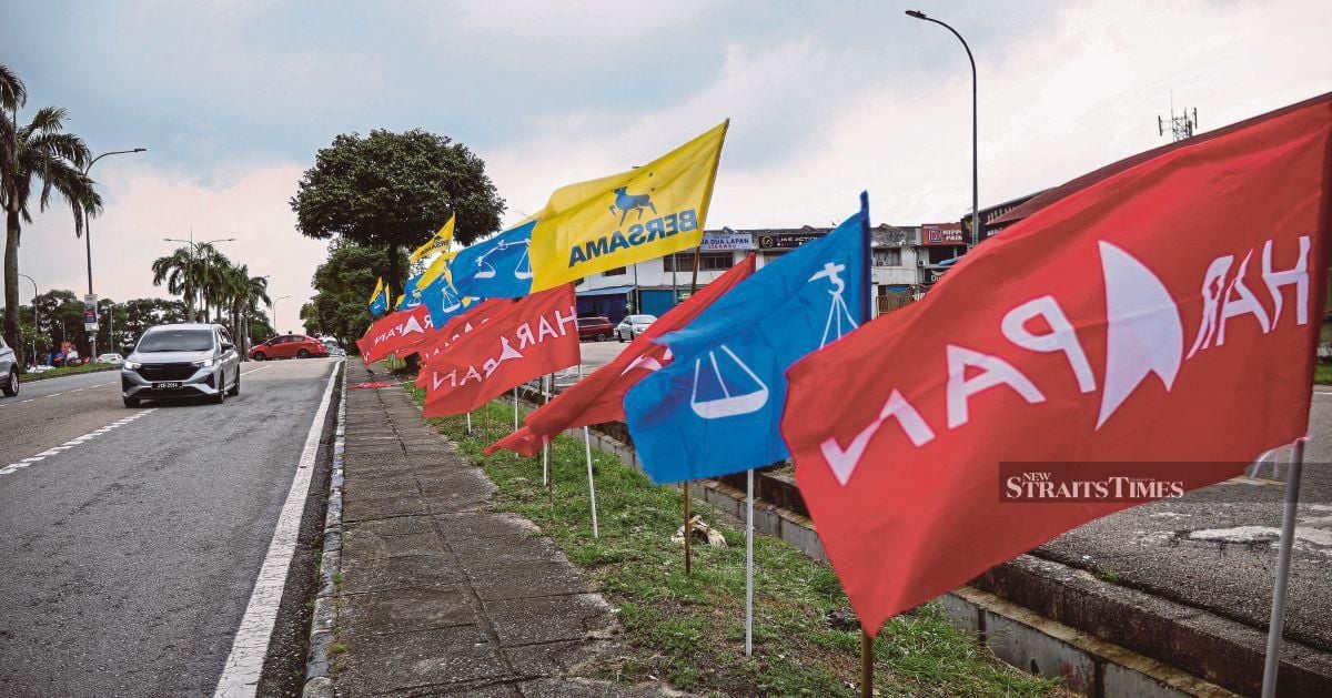 Police investigate 18 cases of alleged election offences in Johor poll campaign