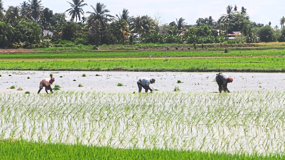 Malaysia Shields Food Prices from Middle East Turmoil Through Strategic Subsidies and Long-Term Reforms